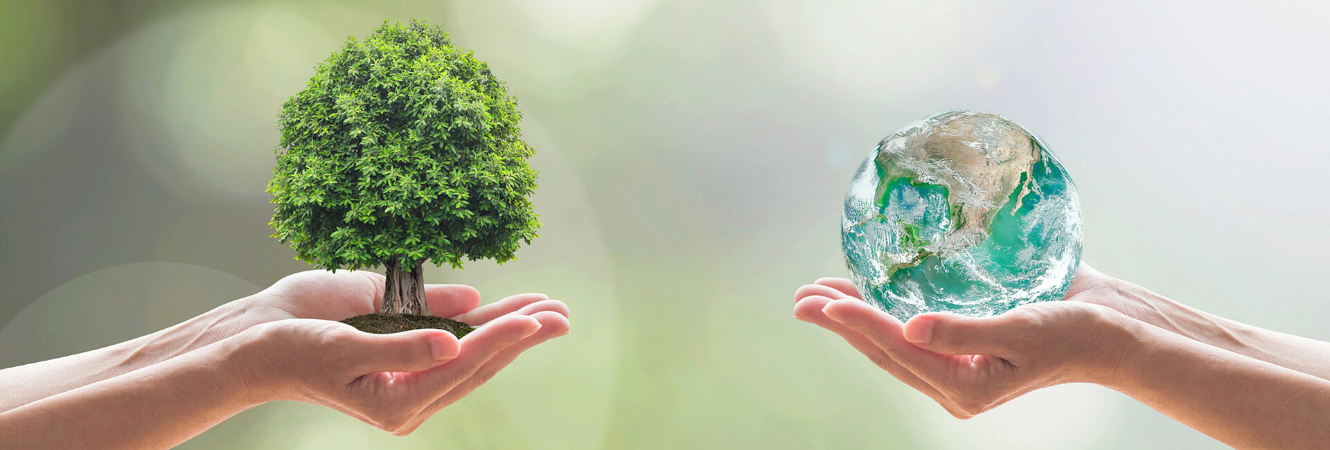 Two hands gently hold a small green tree and a miniature globe encased in clear liquid representing a healthy Earth, highlighting care for nature and environmental protection.